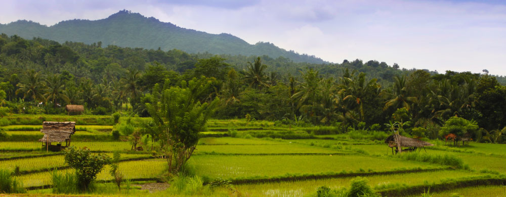 Puri Bagus Manggis